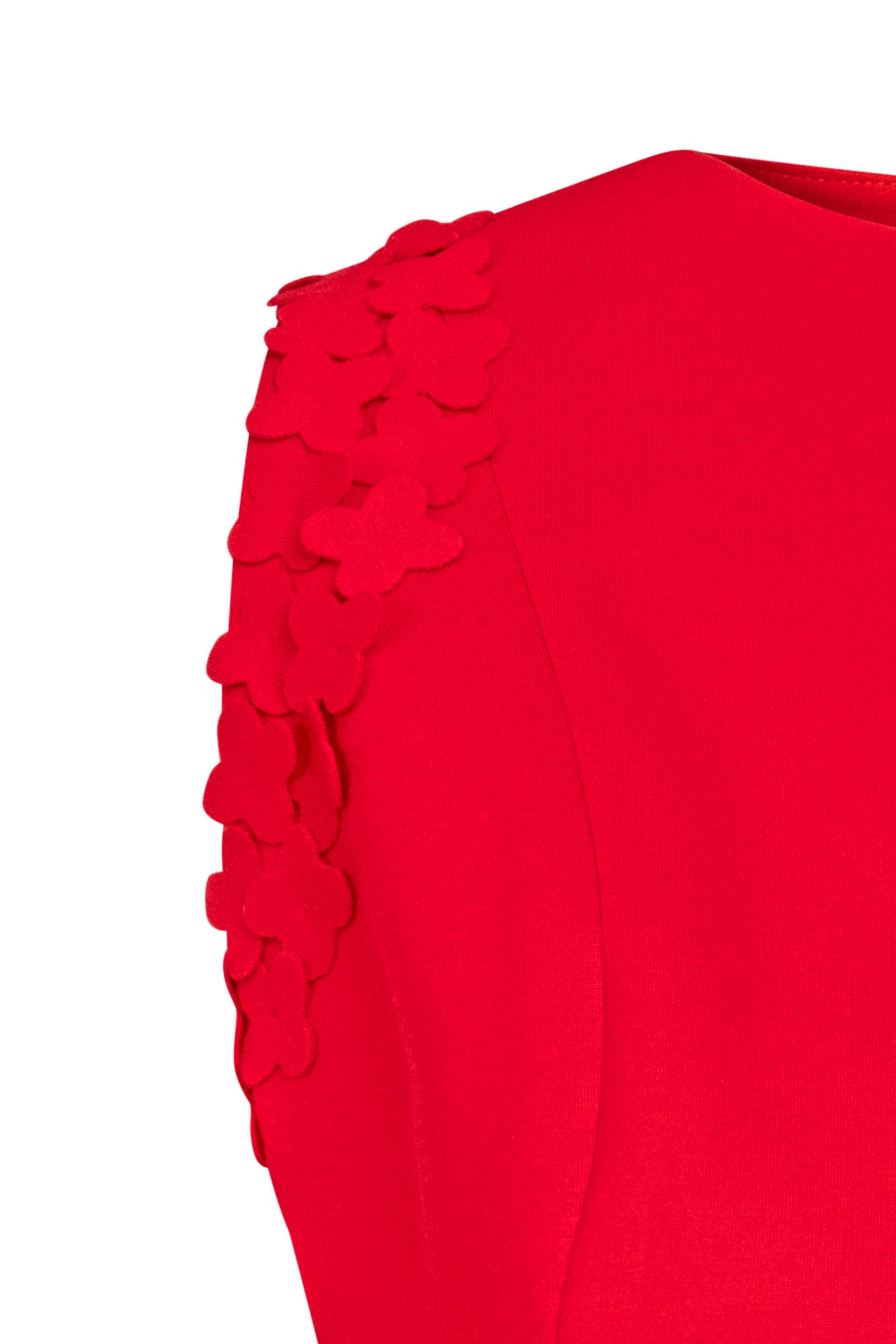 CROP-SISA-TREBOL-ROJO-zoom.jpg